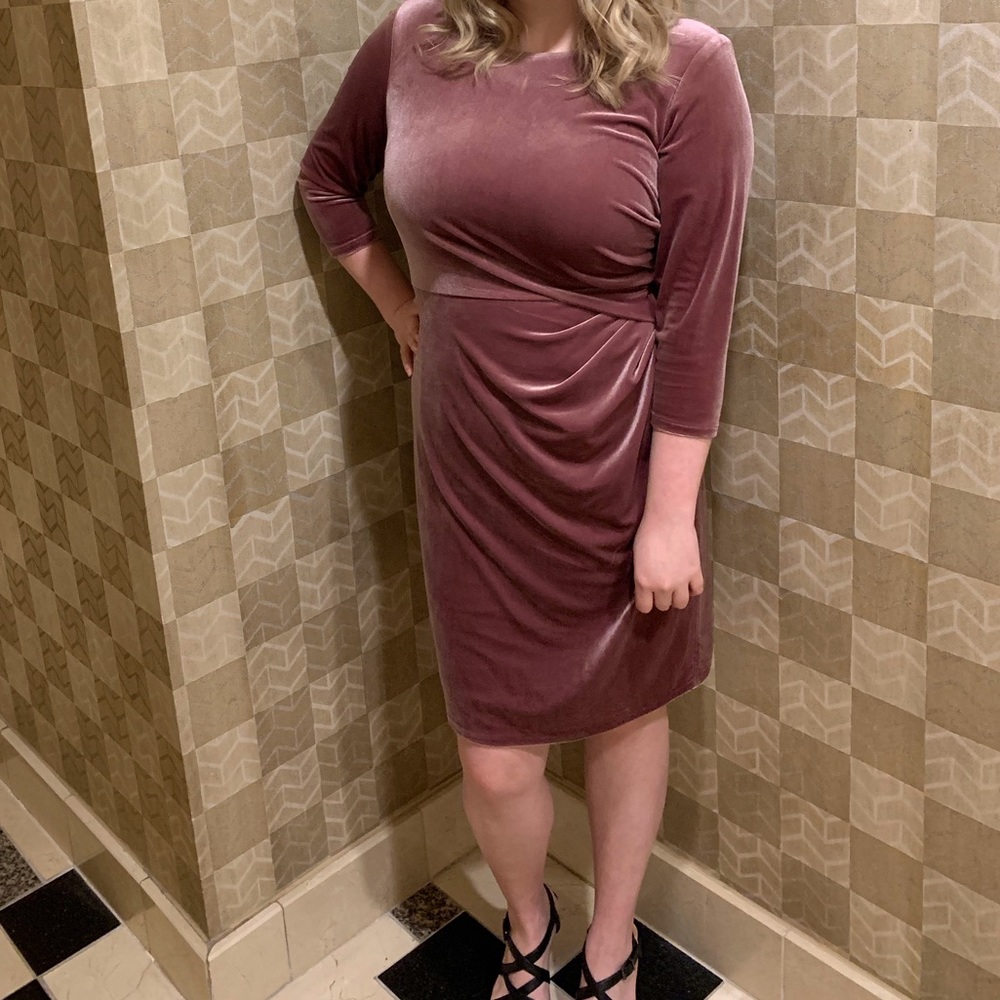 Eliza J velvet plus size dress